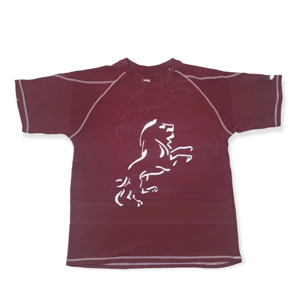 Mens Tshirt
